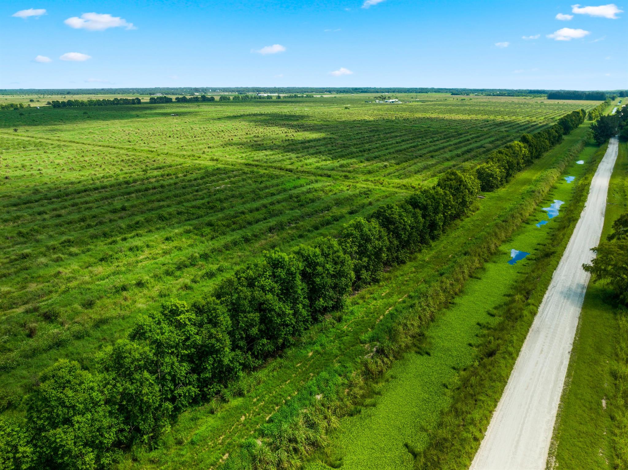 METES AND BOUNDS - Land