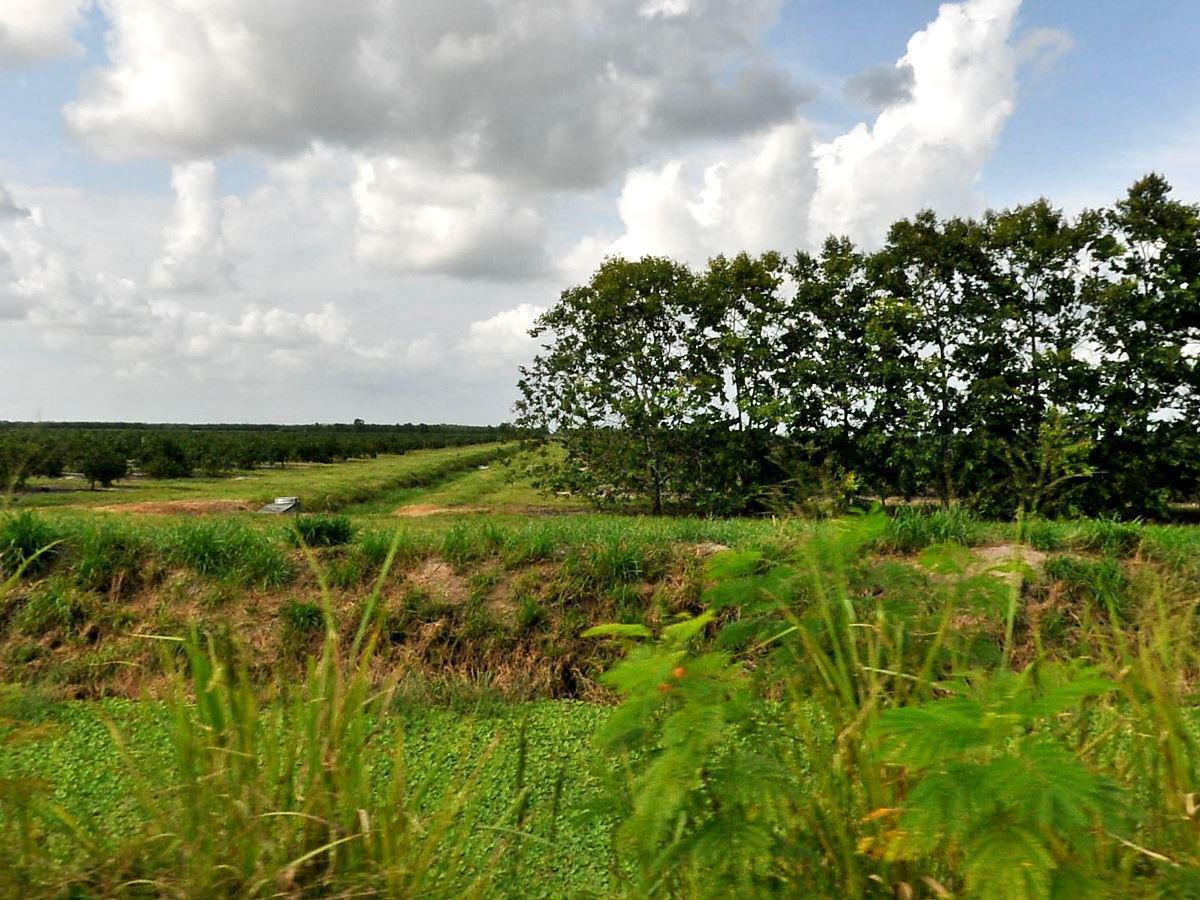 METES AND BOUNDS - Land