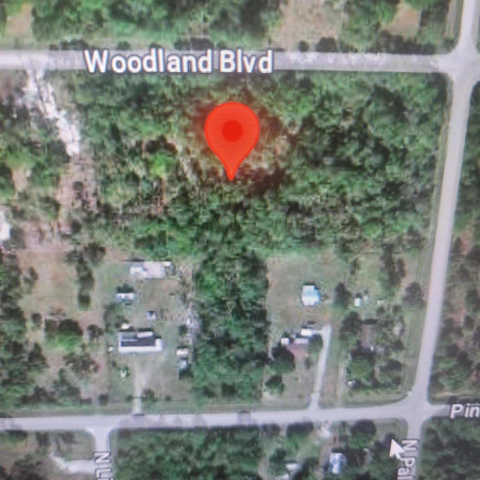 THE WOODLAND S/D - Land