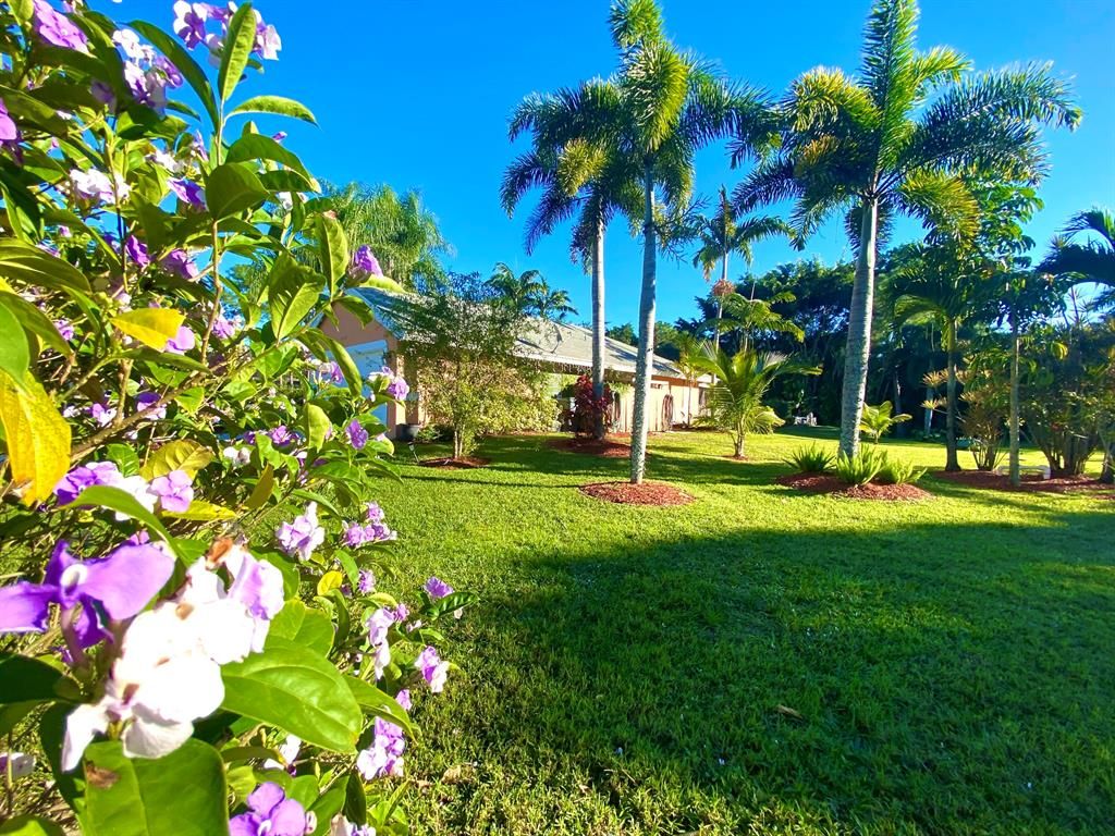 Photo of 15618 80th Lane N, Loxahatchee, FL 33470 (MLS # R10772141)