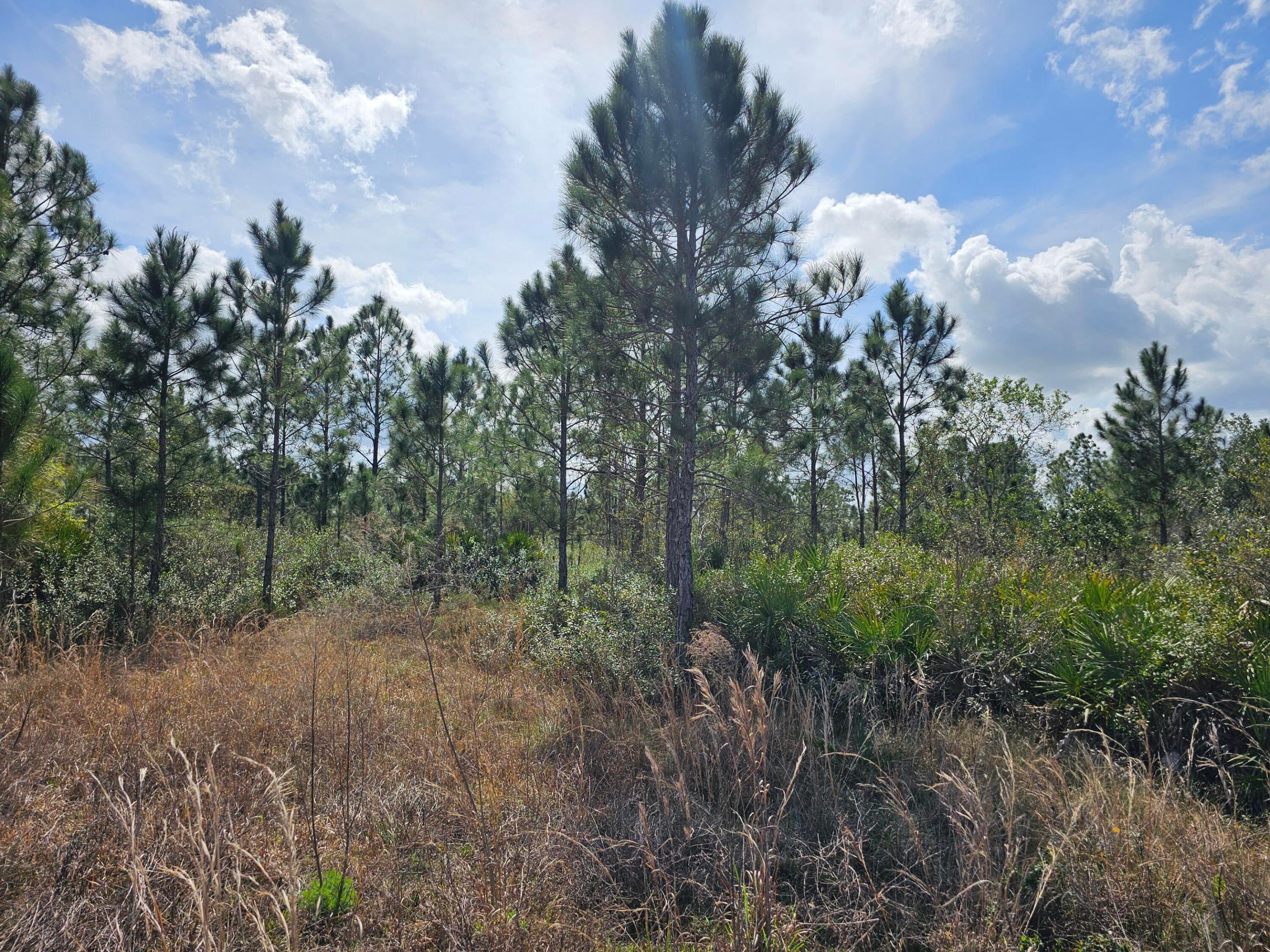 SOUTHERN COLONIZATION COMPANY - Land