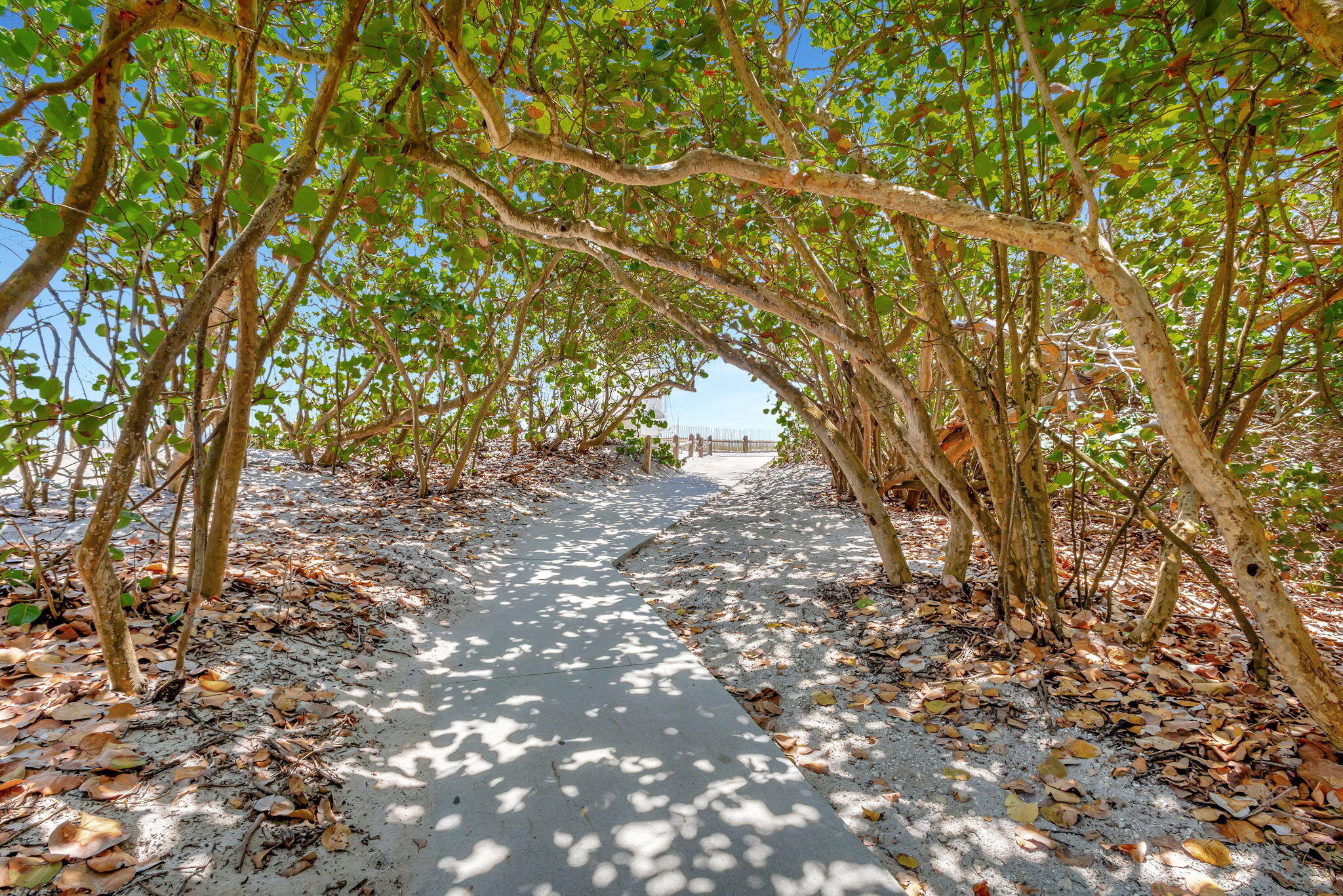 JUPITER OCEAN AND RACQUET CLUB - Residential