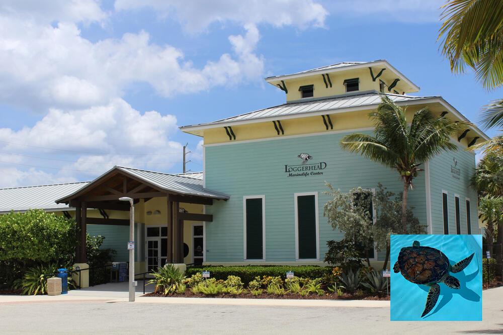 SEAVIEW AT JUNO BEACH - Residential Lease