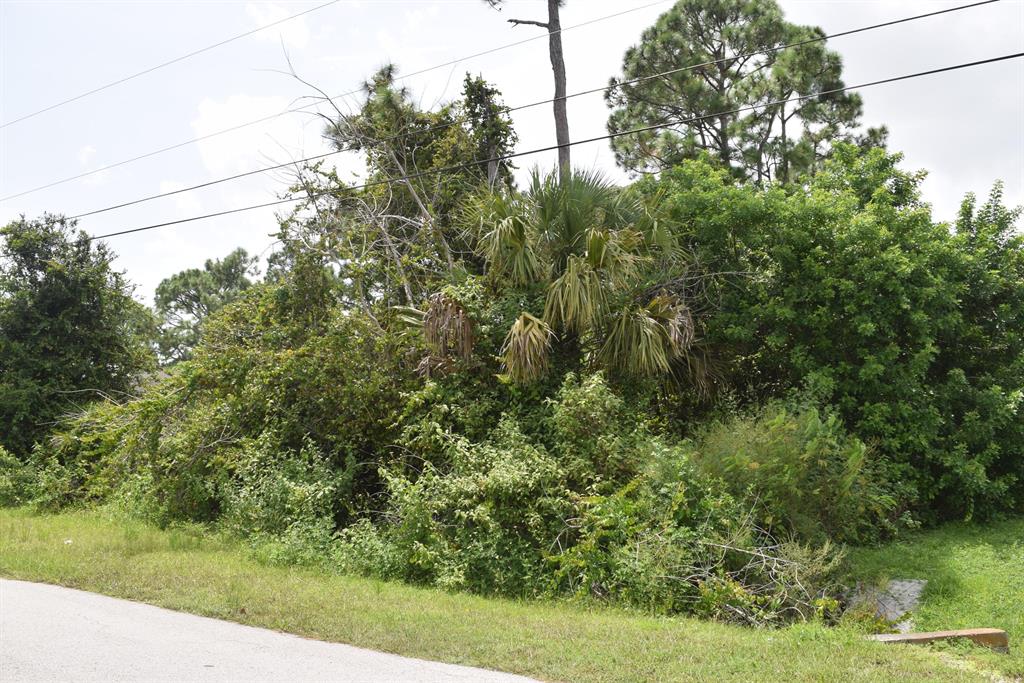 Not just your average lot, this one has it all; LOCATION, VIEW, PRIVACY AND CONVENIENCE! Nice lot backing up to drainage canal for added privacy perfect location to build your dream home! Gatlin area off Savona Blvd, lot located across the intersection of Martin and Malaga close to all shopping and restaurants and close to I-95. This lot has it all, great Location, beautiful setting, surrounded by newer homes.