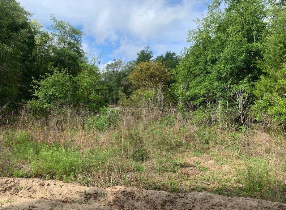 Build your dream home in Interlachen Estates. Owner financing available.
0.22 acres.
