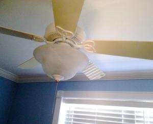 UNIVERSITY GARDENS - Residential