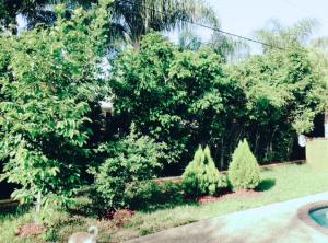 UNIVERSITY GARDENS - Residential