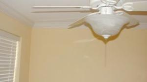 UNIVERSITY GARDENS - Residential