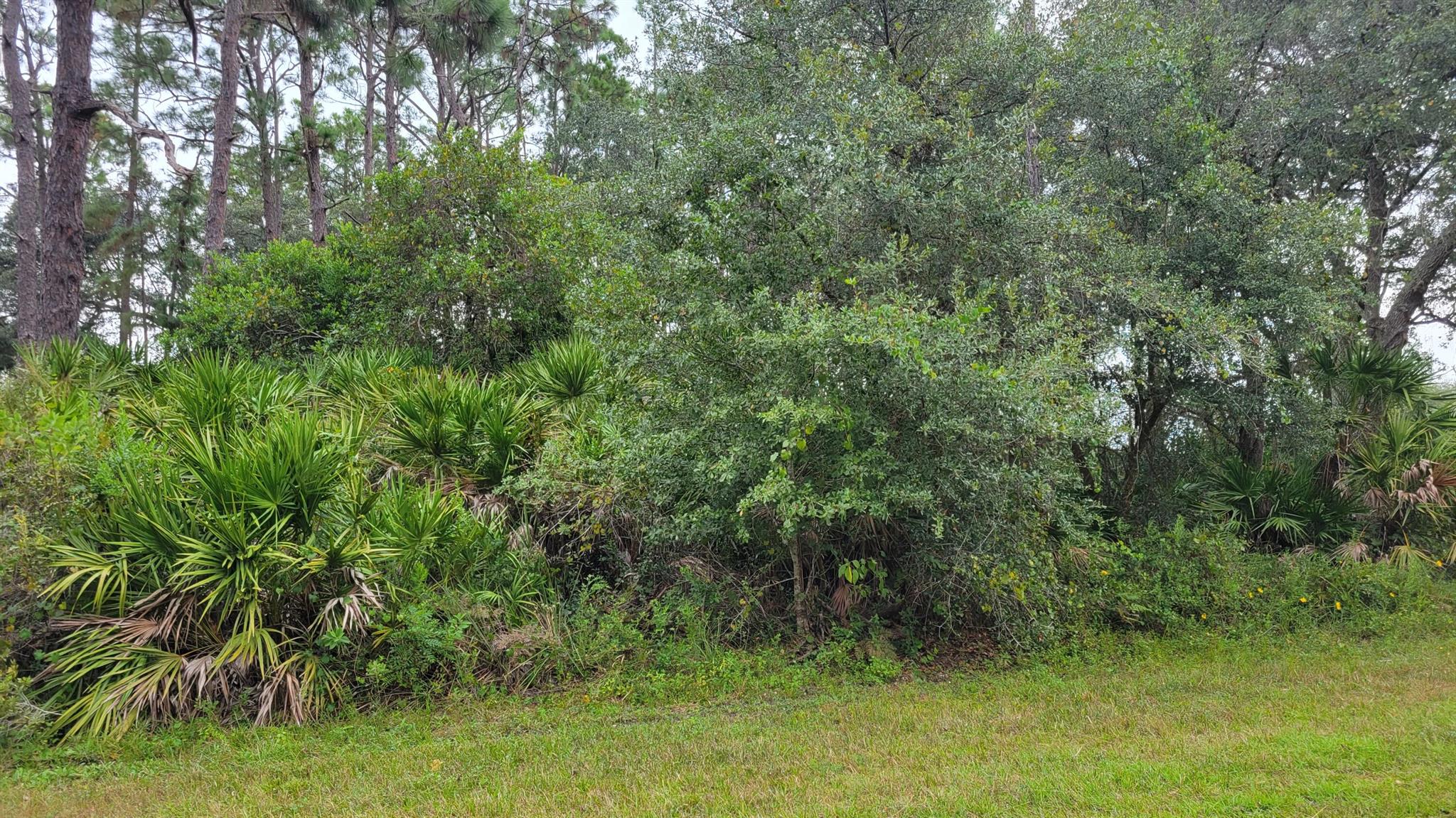 501 SE 25th Avenue