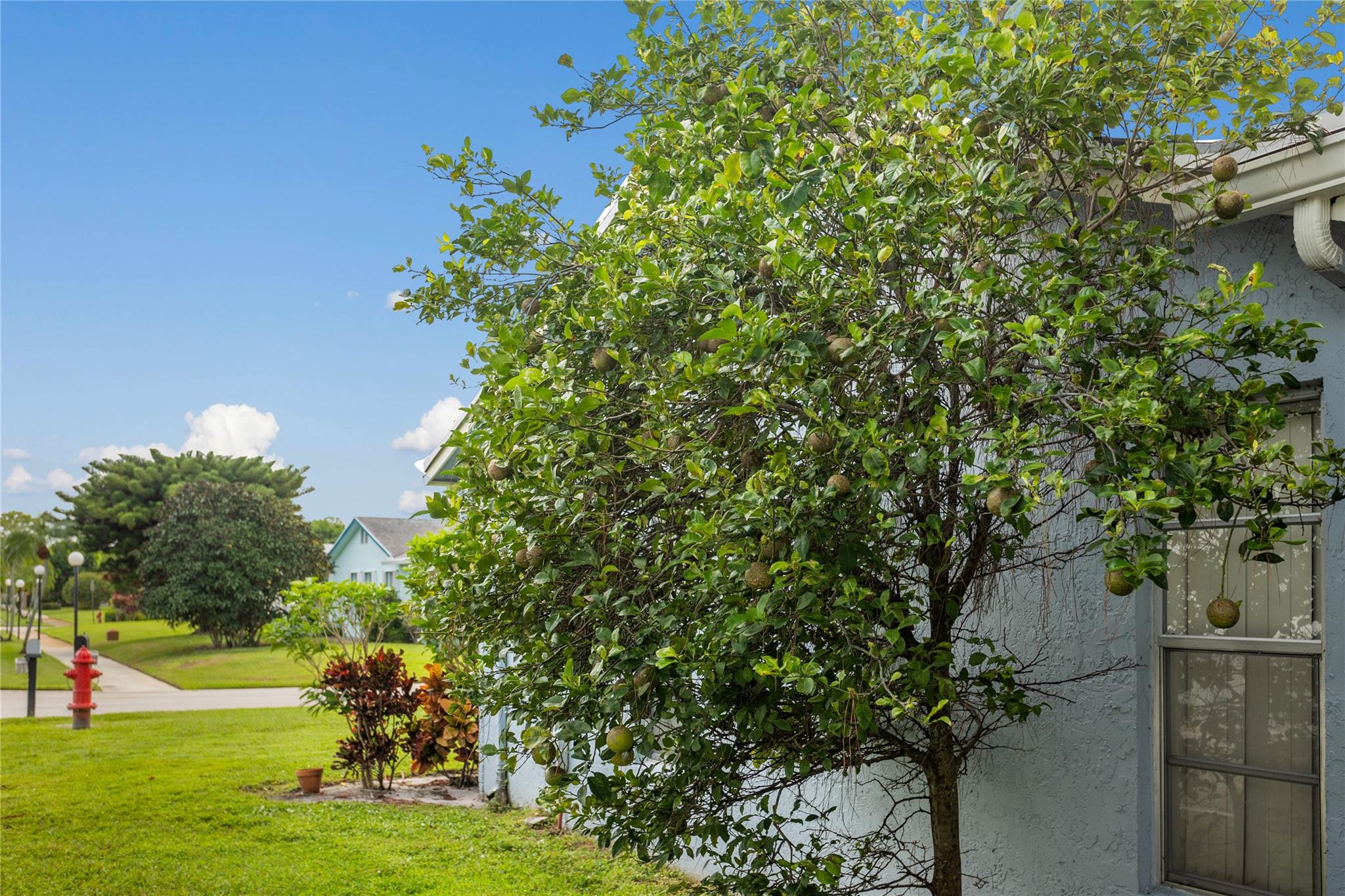 Lucerne Homes East 01 - Residential