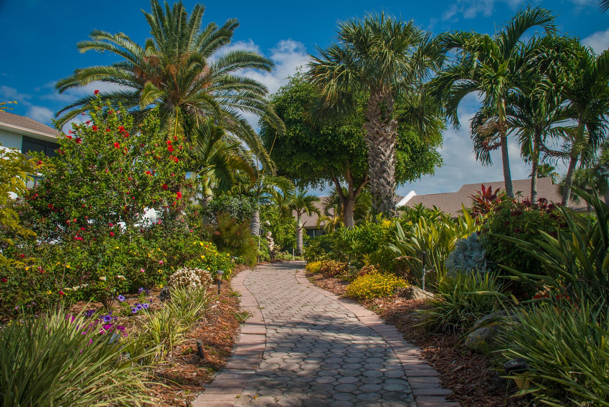 OCEAN VILLAGE - Residential