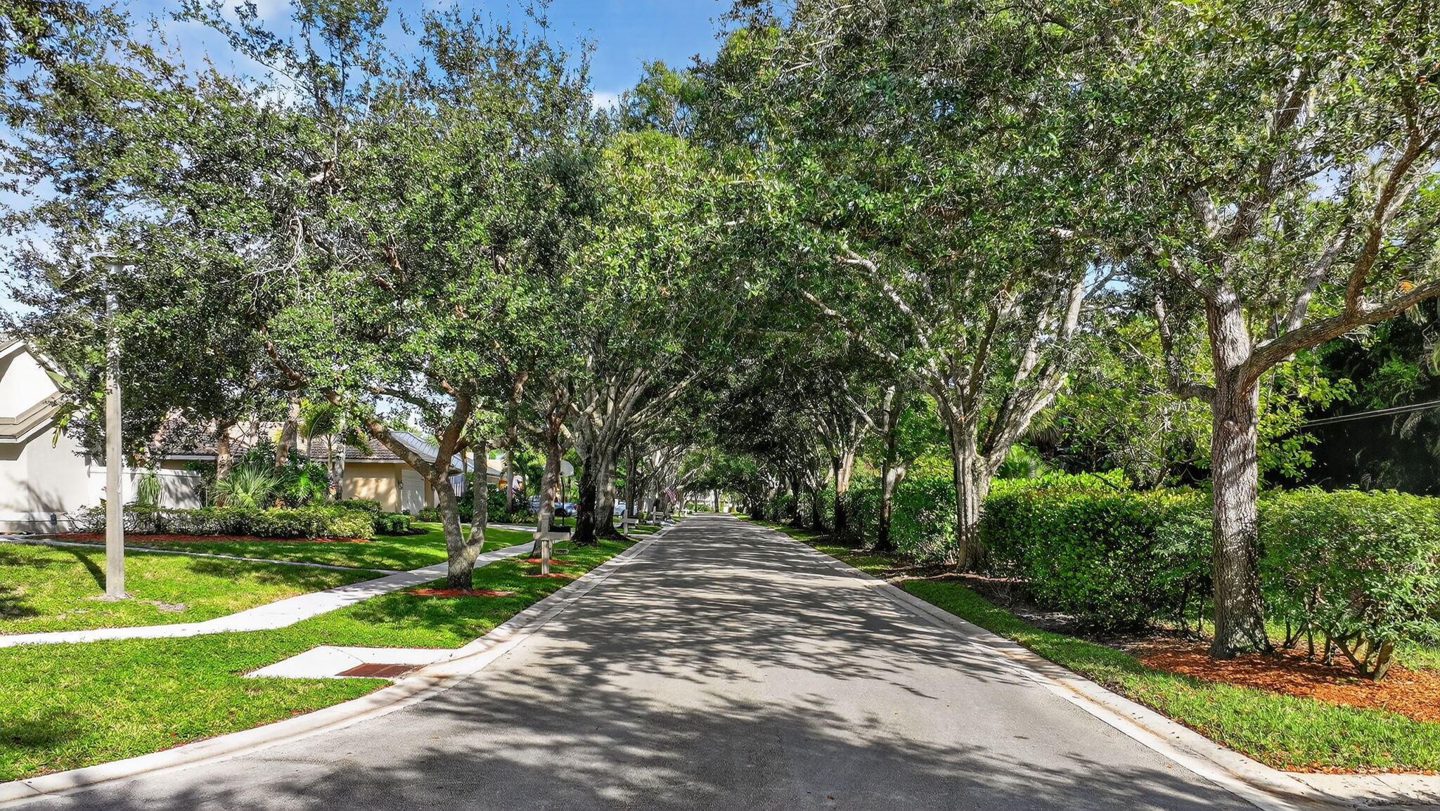 SHORES 4 - Residential