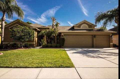 2620 Millhopper Avenue Wesley Chapel FL 33544