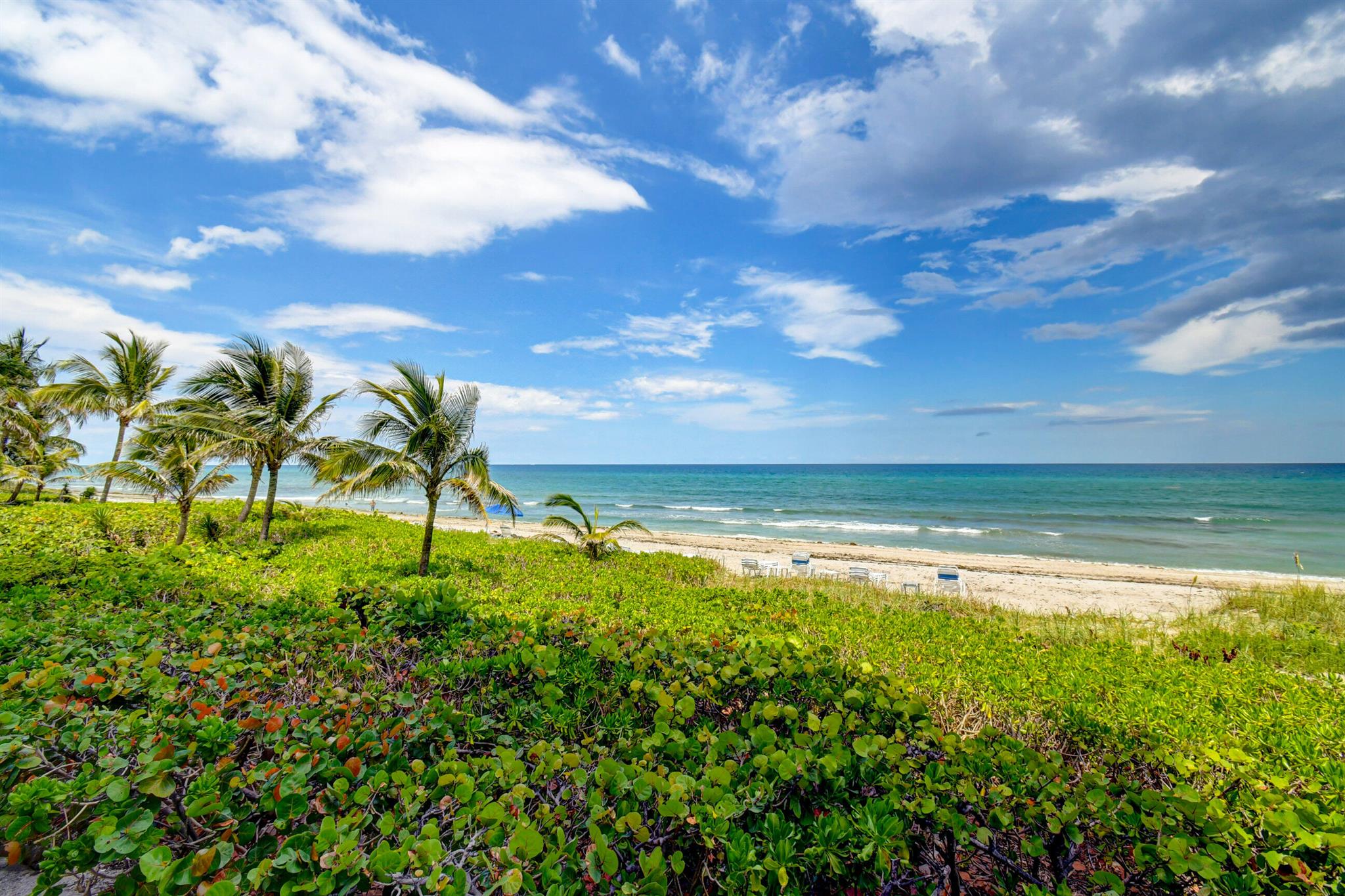 AMBASSADORS V SOUTH CONDO - Residential