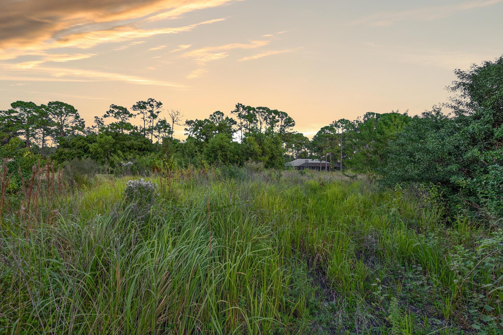 Jupiter Farms - Land