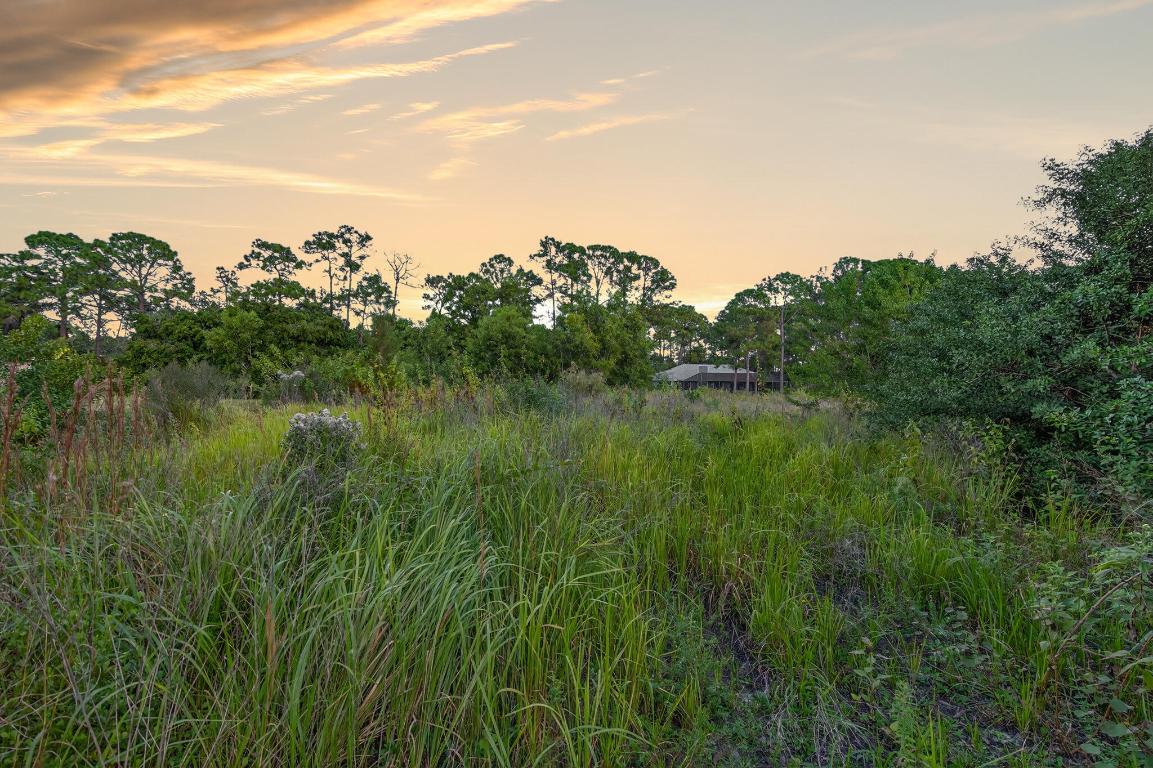 Jupiter Farms - Land