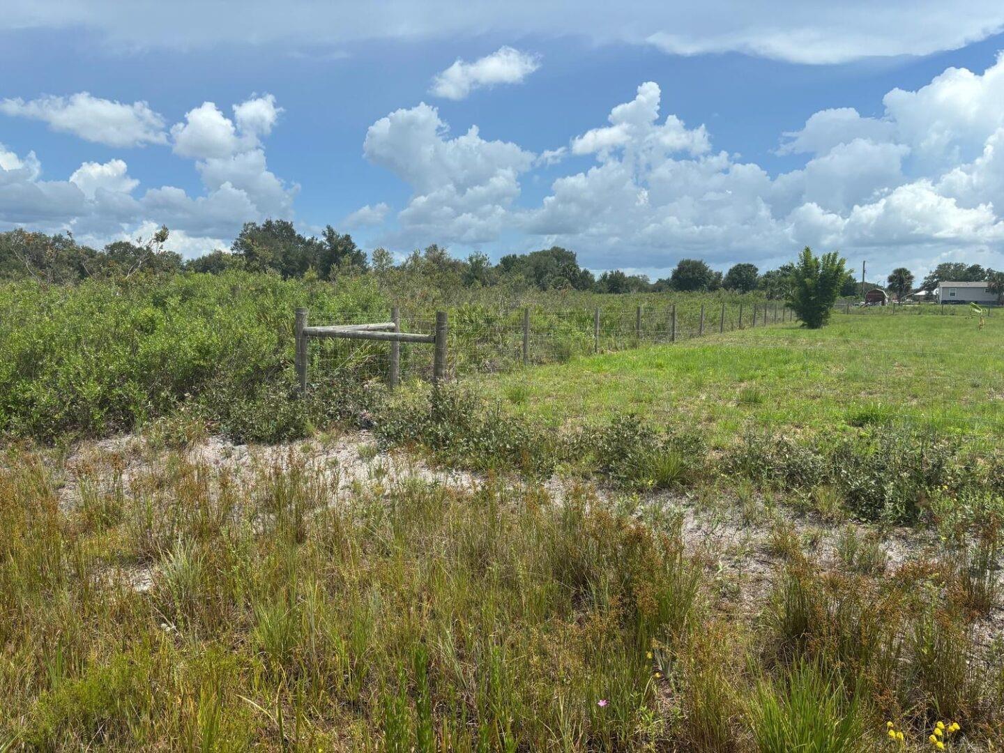 Owner financing Available with only $5k down.
Discover the Prairie…the perfect blend of peace, privacy, and opportunity with this 1.25-acre buildable lot in the Viking Estates area of Okeechobee County. Surrounded by Florida’s natural beauty, this spacious lot offers endless potential—whether you’re looking to build your dream home, a mobile home, establish a rural getaway, or start a small farm.
