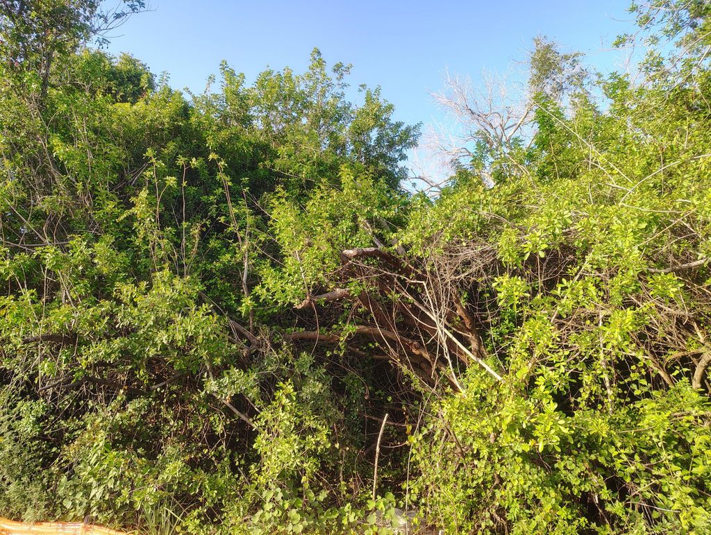 Photo of 3931 SW Port St Lucie Boulevard, Port Saint Lucie, FL 34953 (MLS # B26046465)