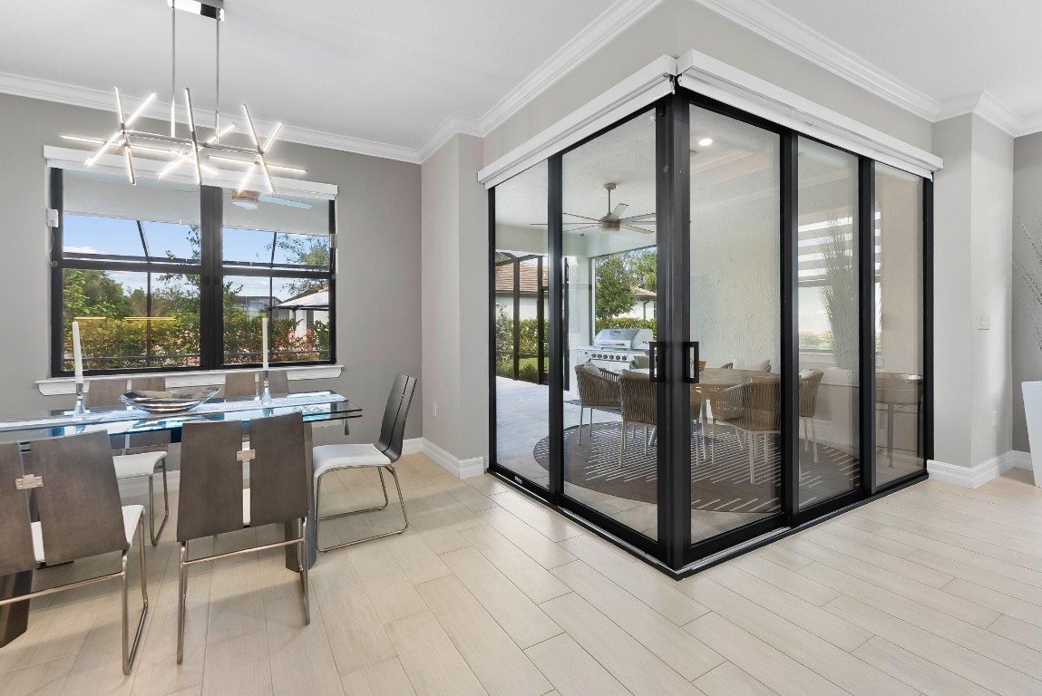 Oak Tree - Residential