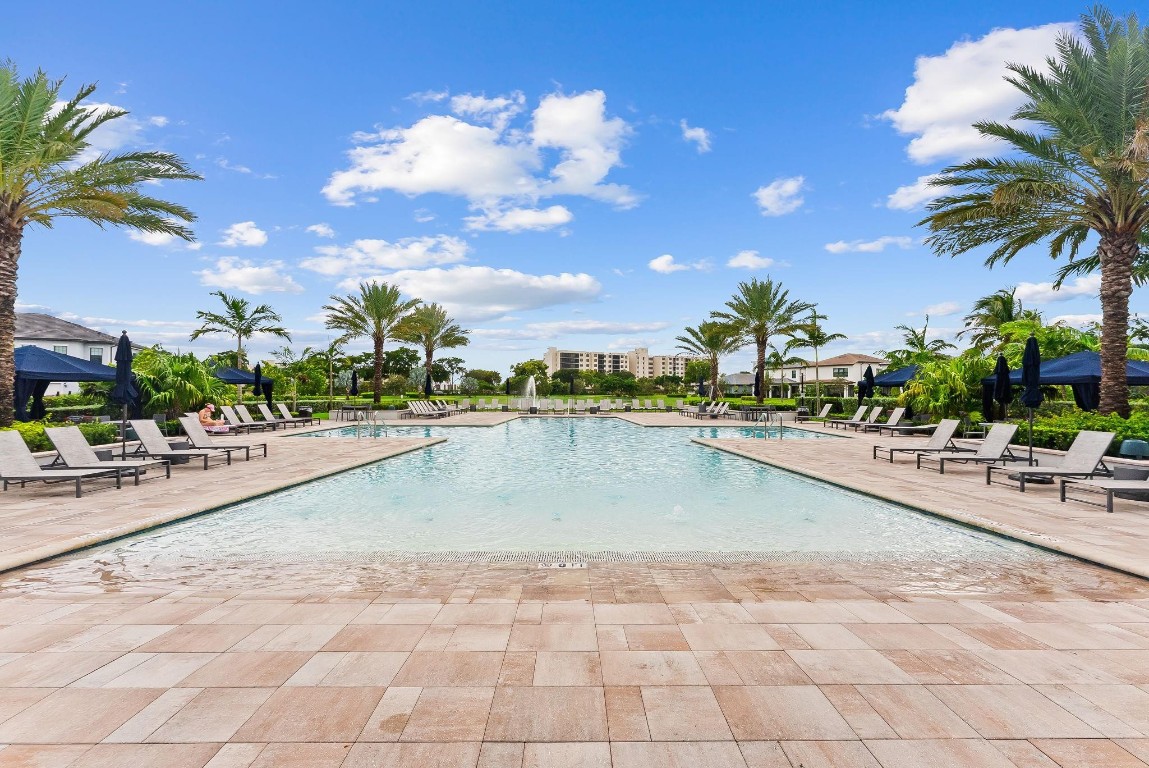 Oak Tree - Residential