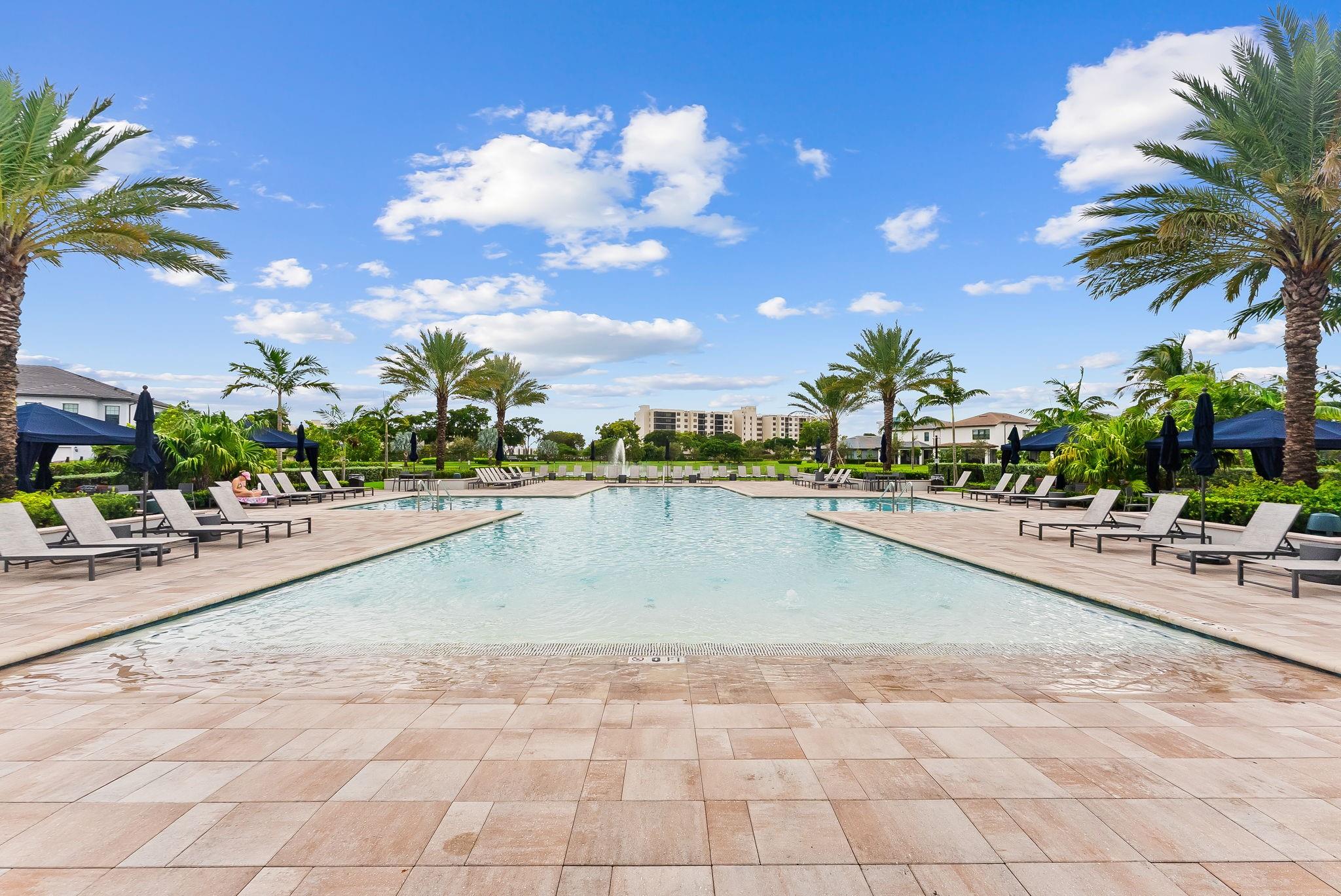 Oak Tree - Residential