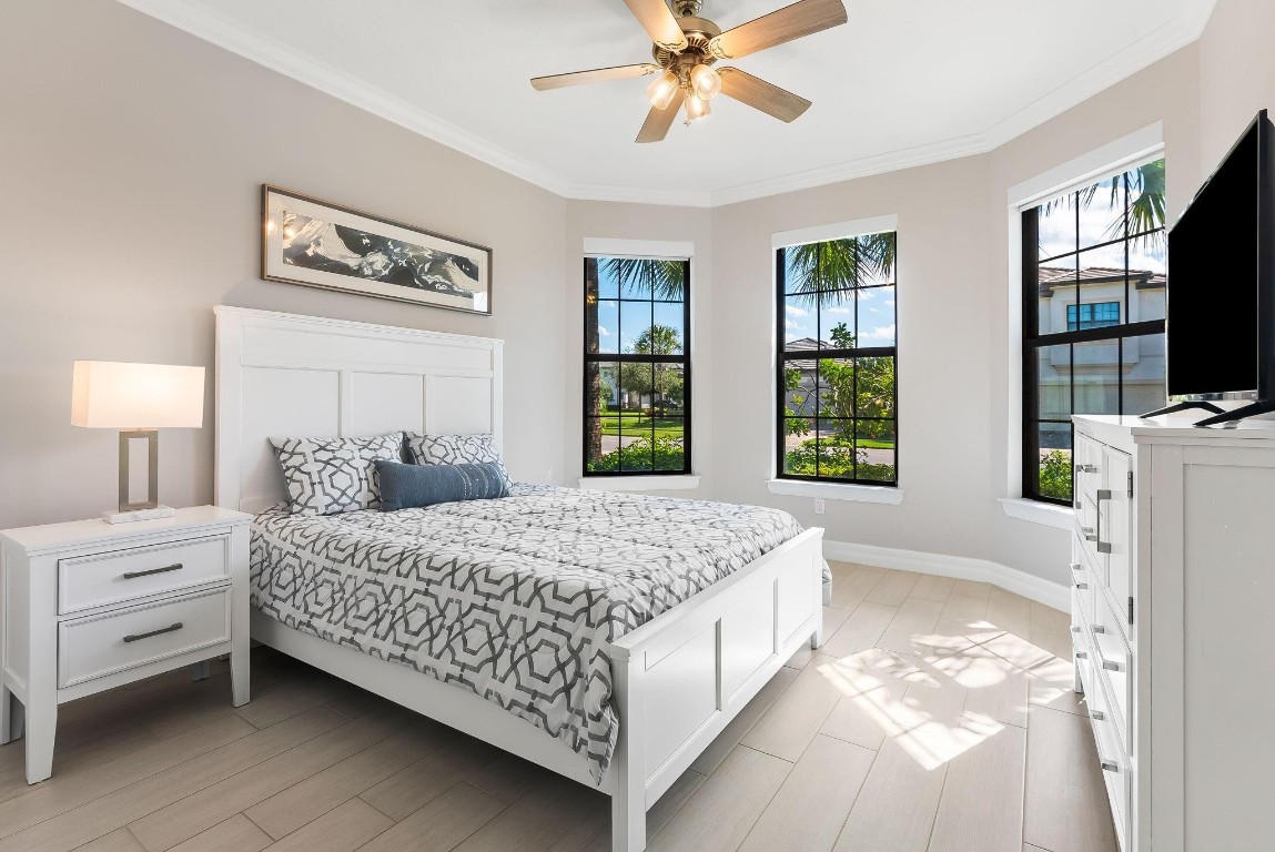 Oak Tree - Residential