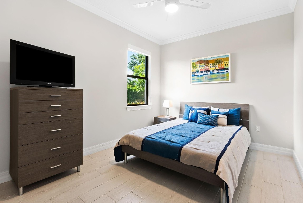 Oak Tree - Residential