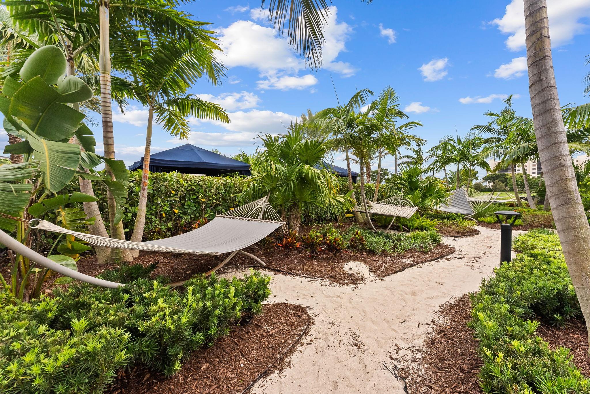 Oak Tree - Residential