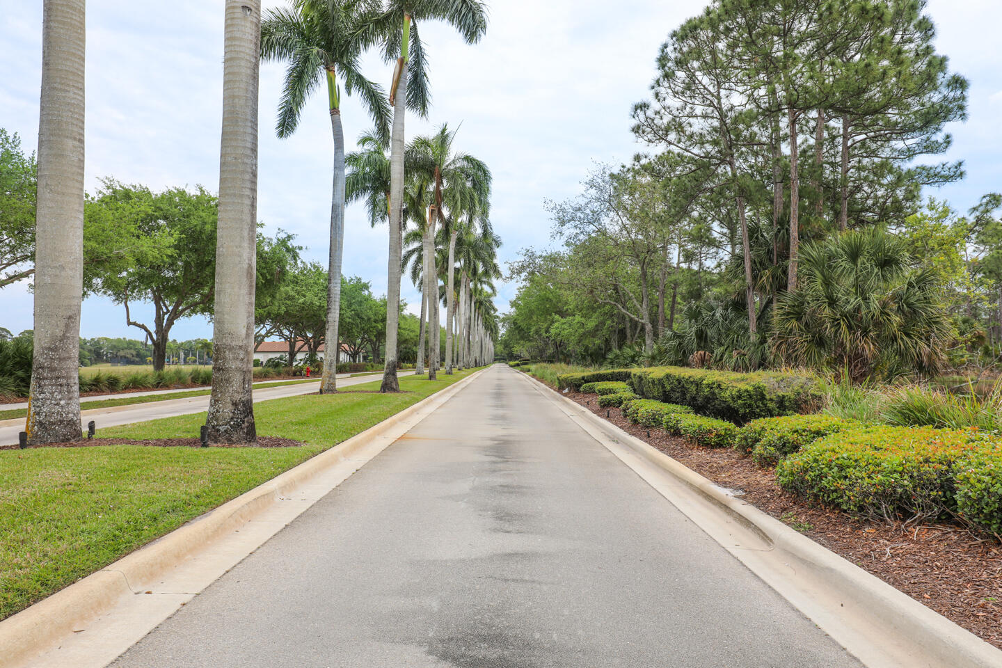 Rivella / Tesoro Preserve - Residential