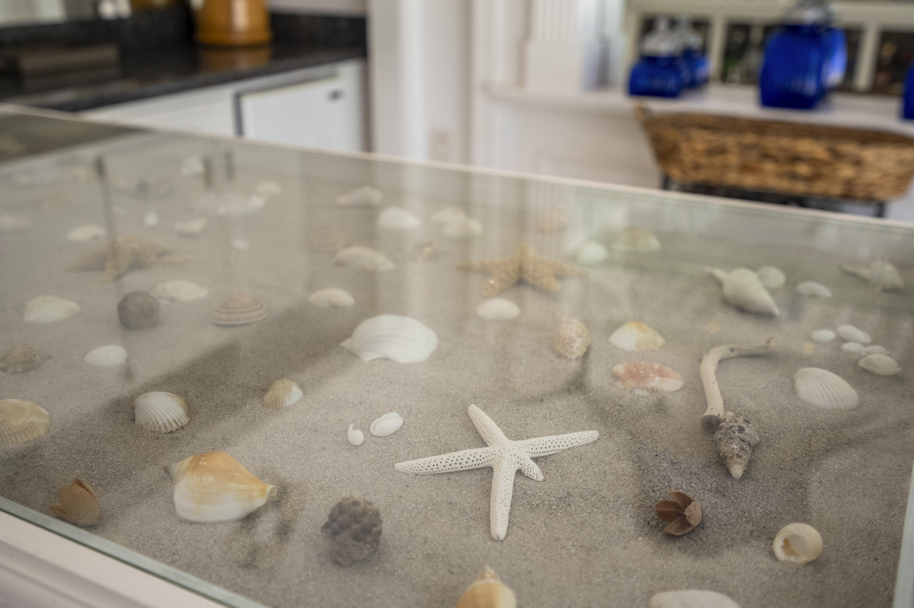 MARINER SANDS - Residential