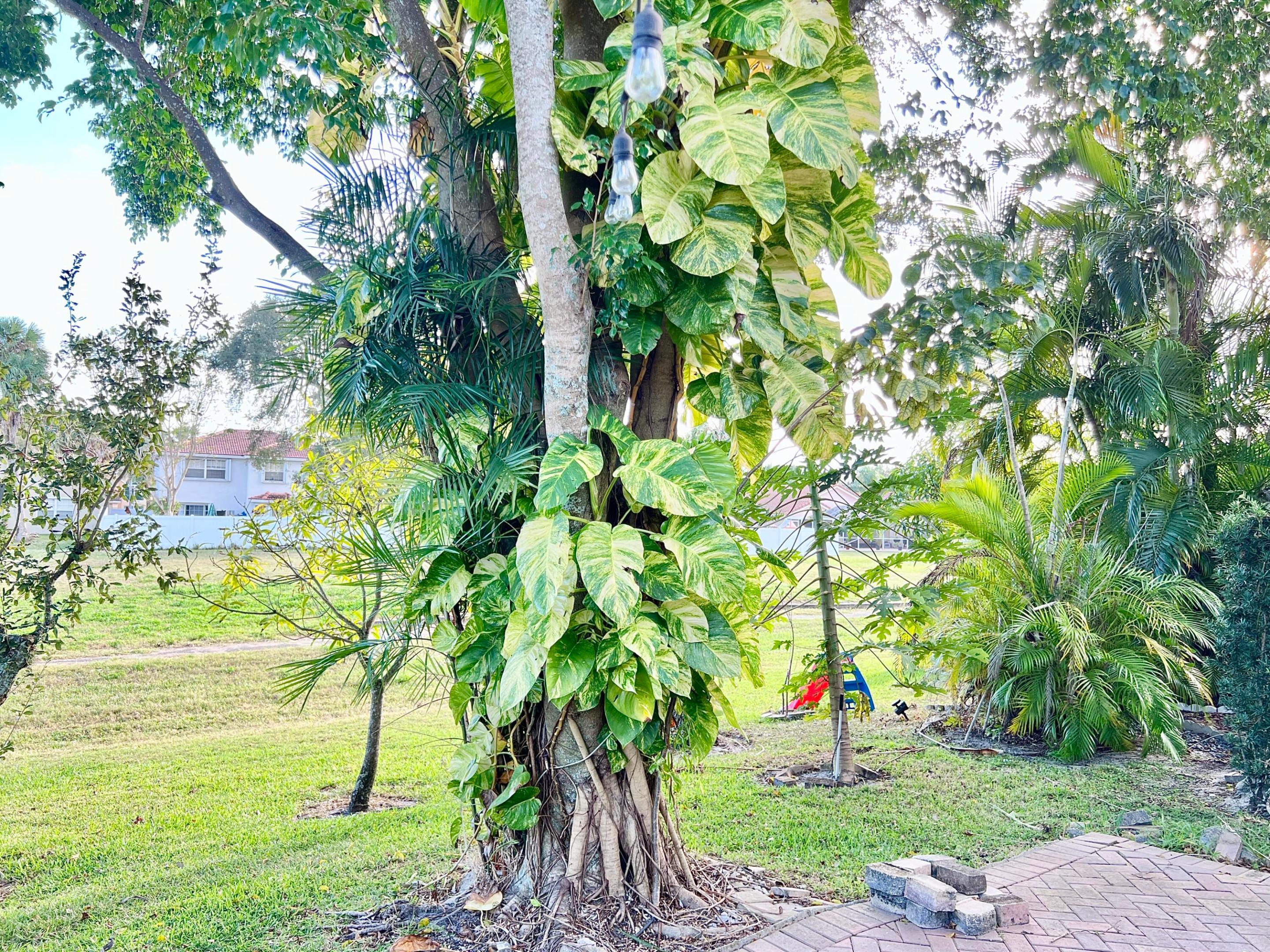 Fairway Views - Residential