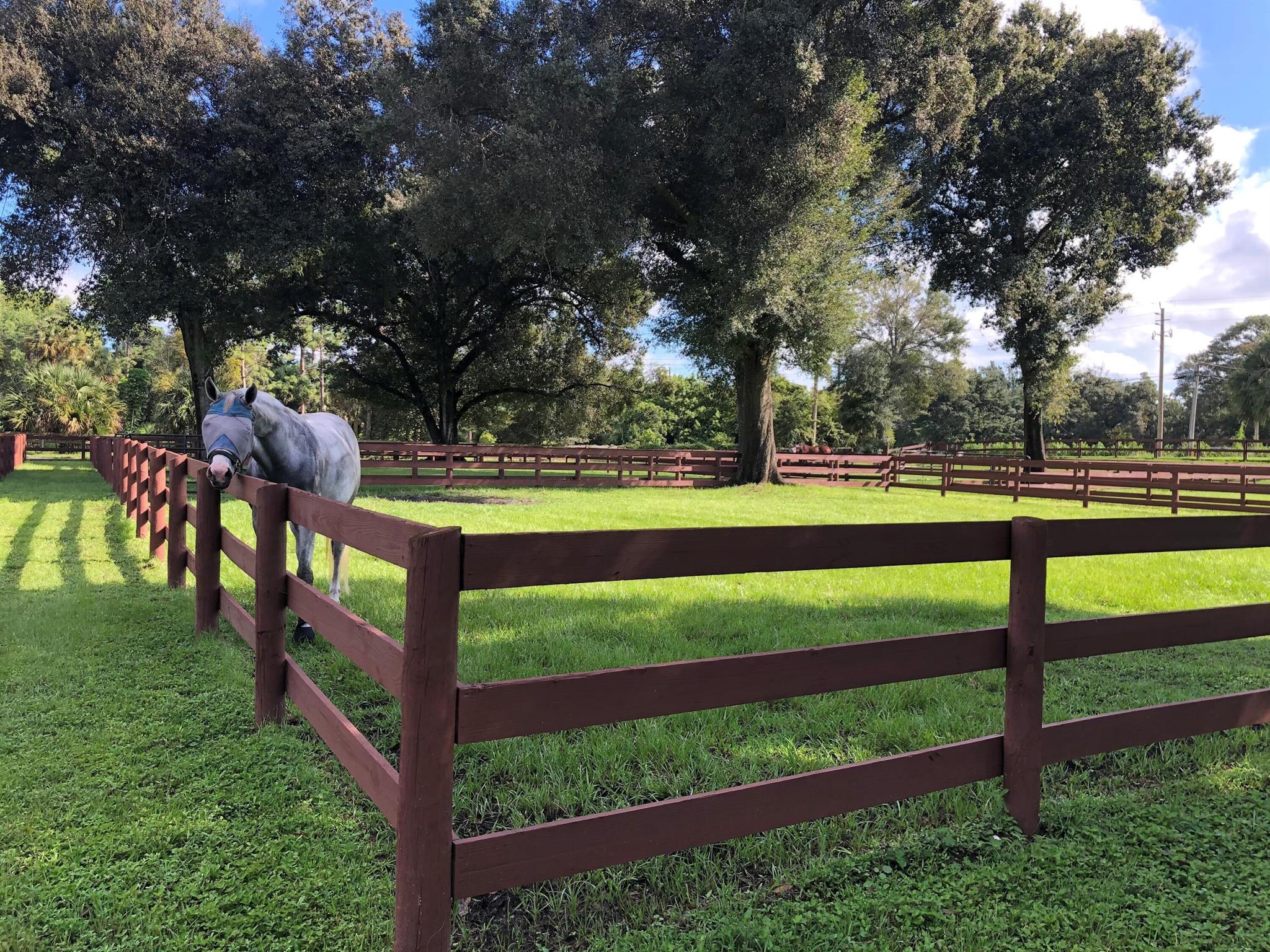 LOXAHATCHEE GROVES - Residential
