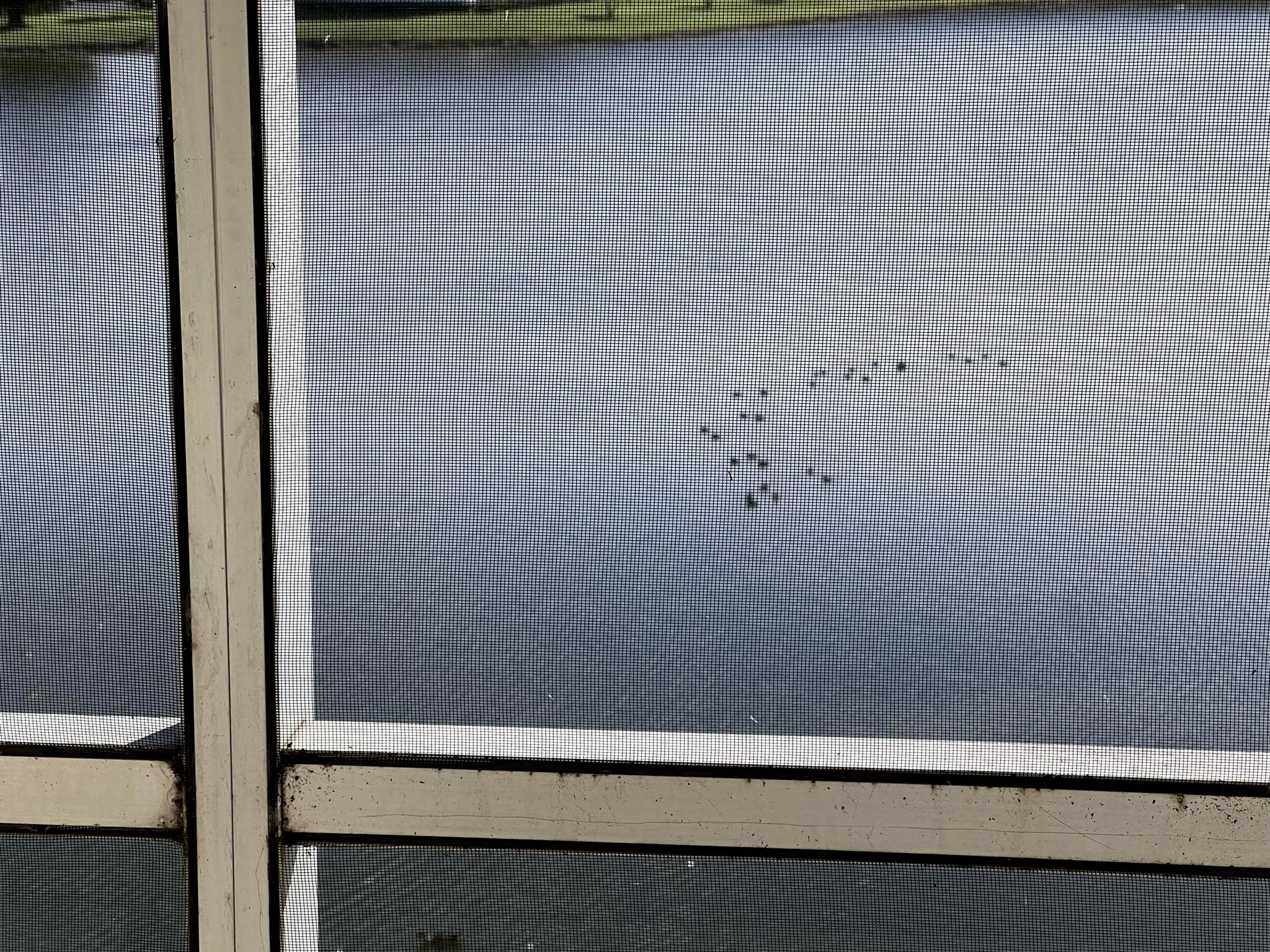 CORNWALL AT CENTURY VILLA - Residential Lease