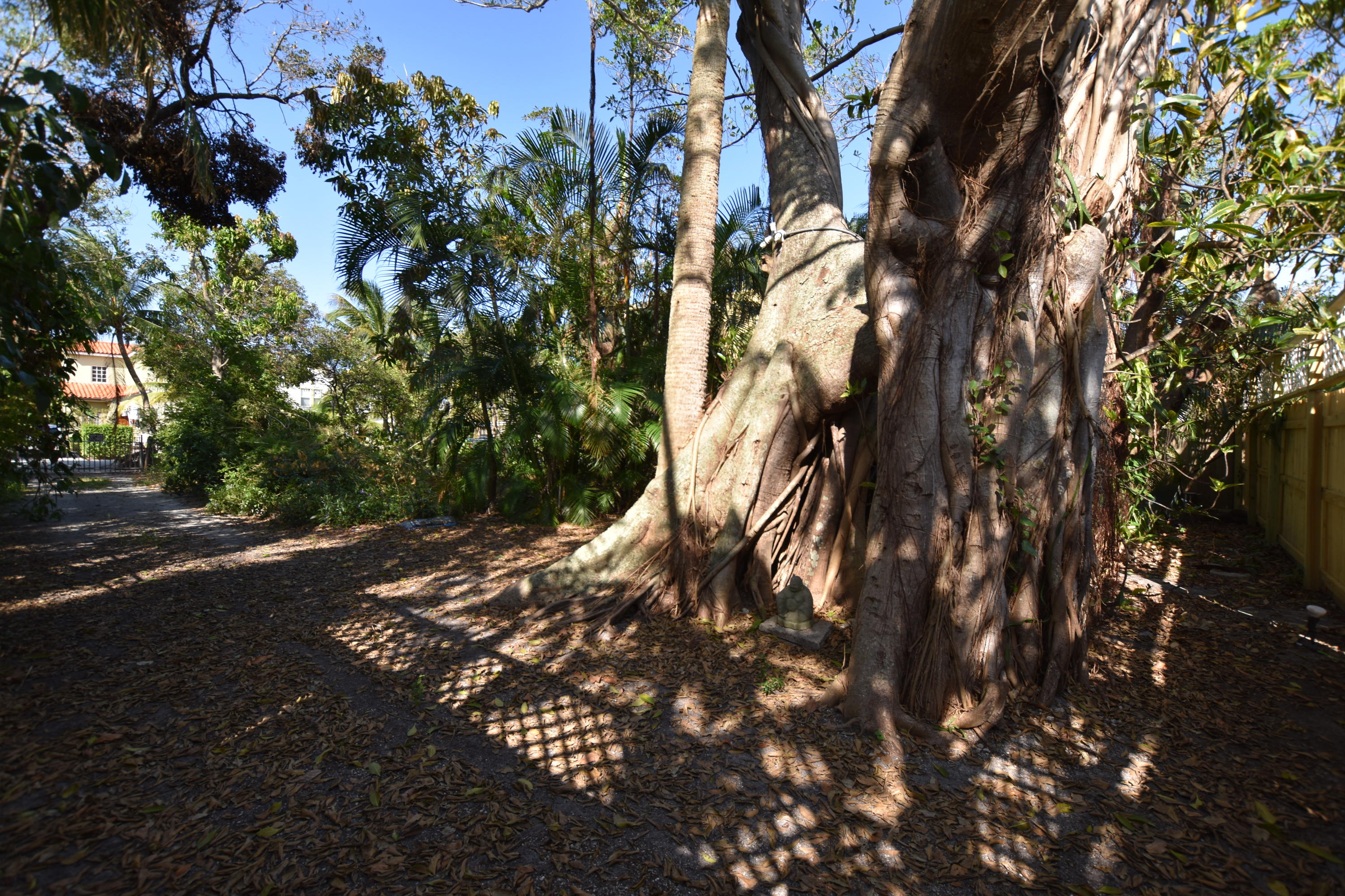 Flamingo Park - Land