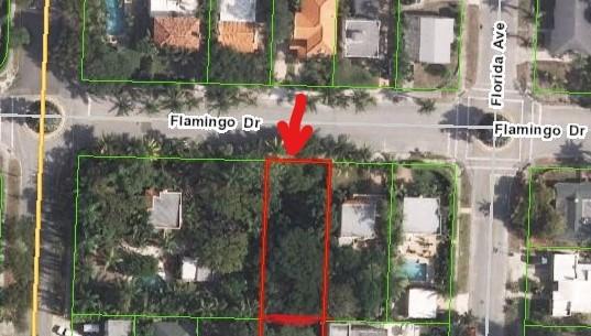 Flamingo Park - Land