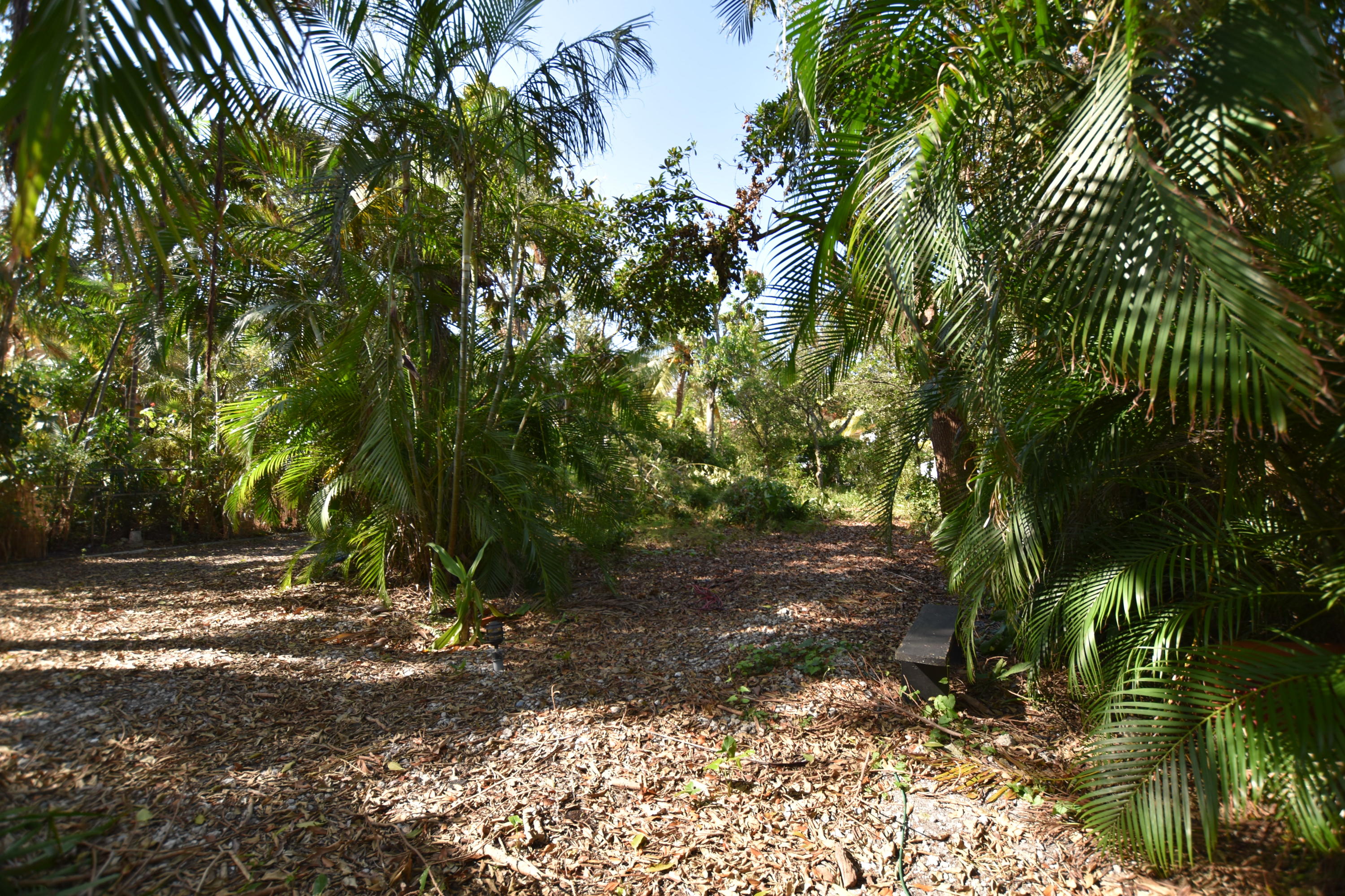 Flamingo Park - Land