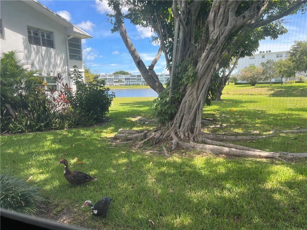 NEWPORT V CONDO - Residential Lease