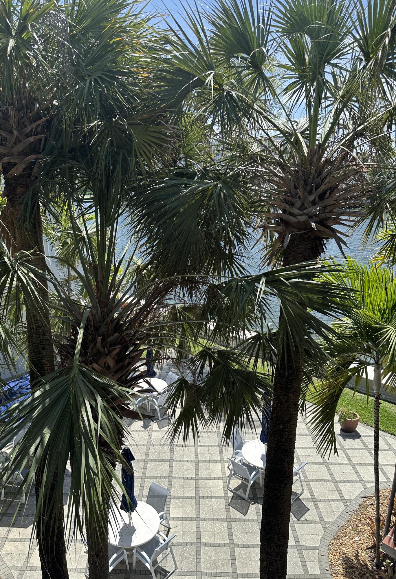 WATERWAY @ HOLLYWOOD BEACH CONDO - Residential