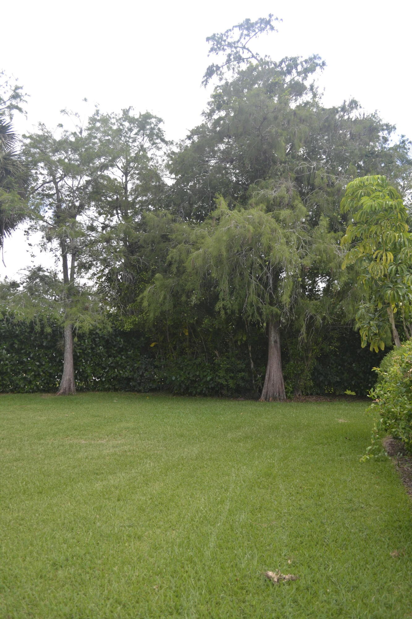SUGAR POND MANOR OF WELLINGTON - Residential