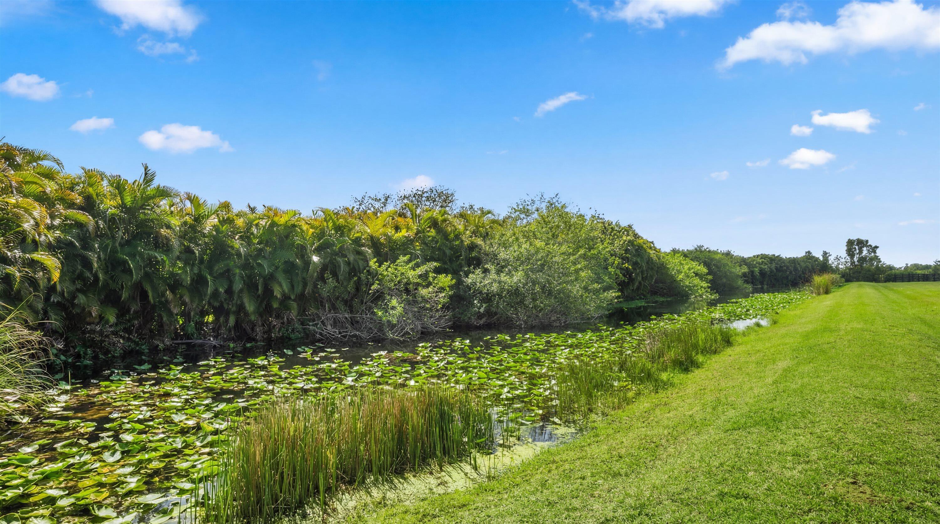 Palm Beach Point - Sun glade - Residential
