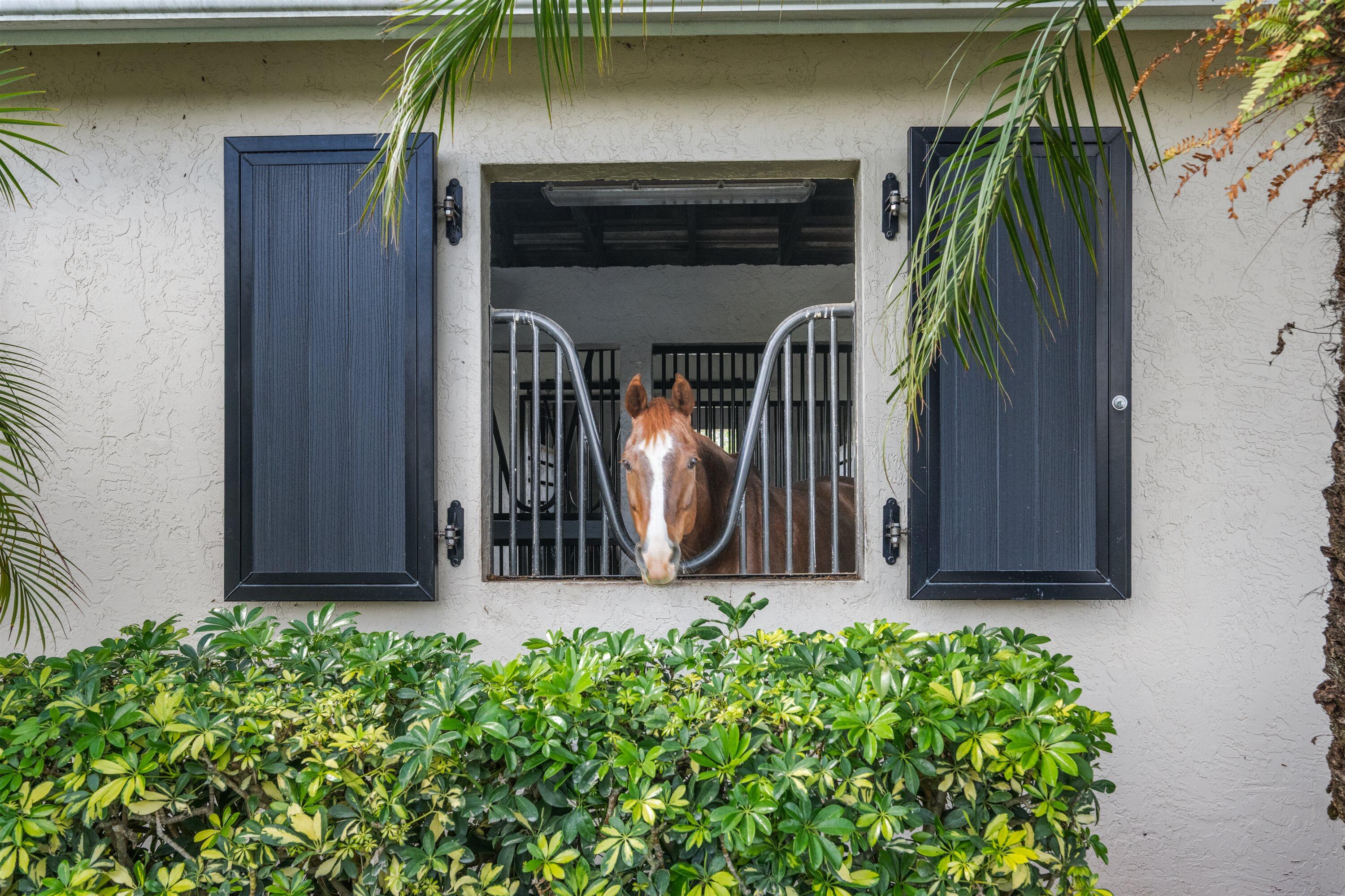 Palm Beach Point - Sun glade - Residential