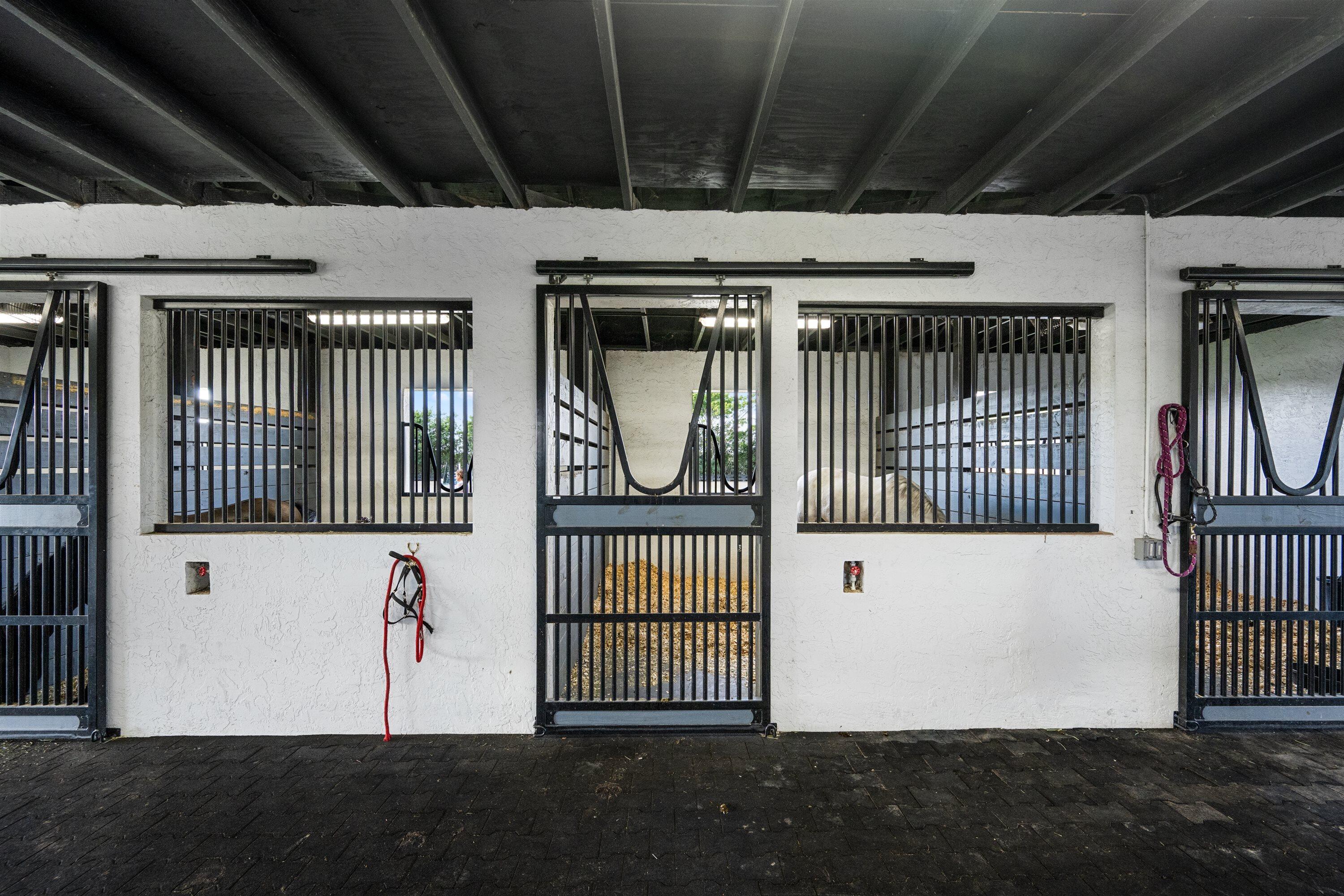 Palm Beach Point - Sun glade - Residential