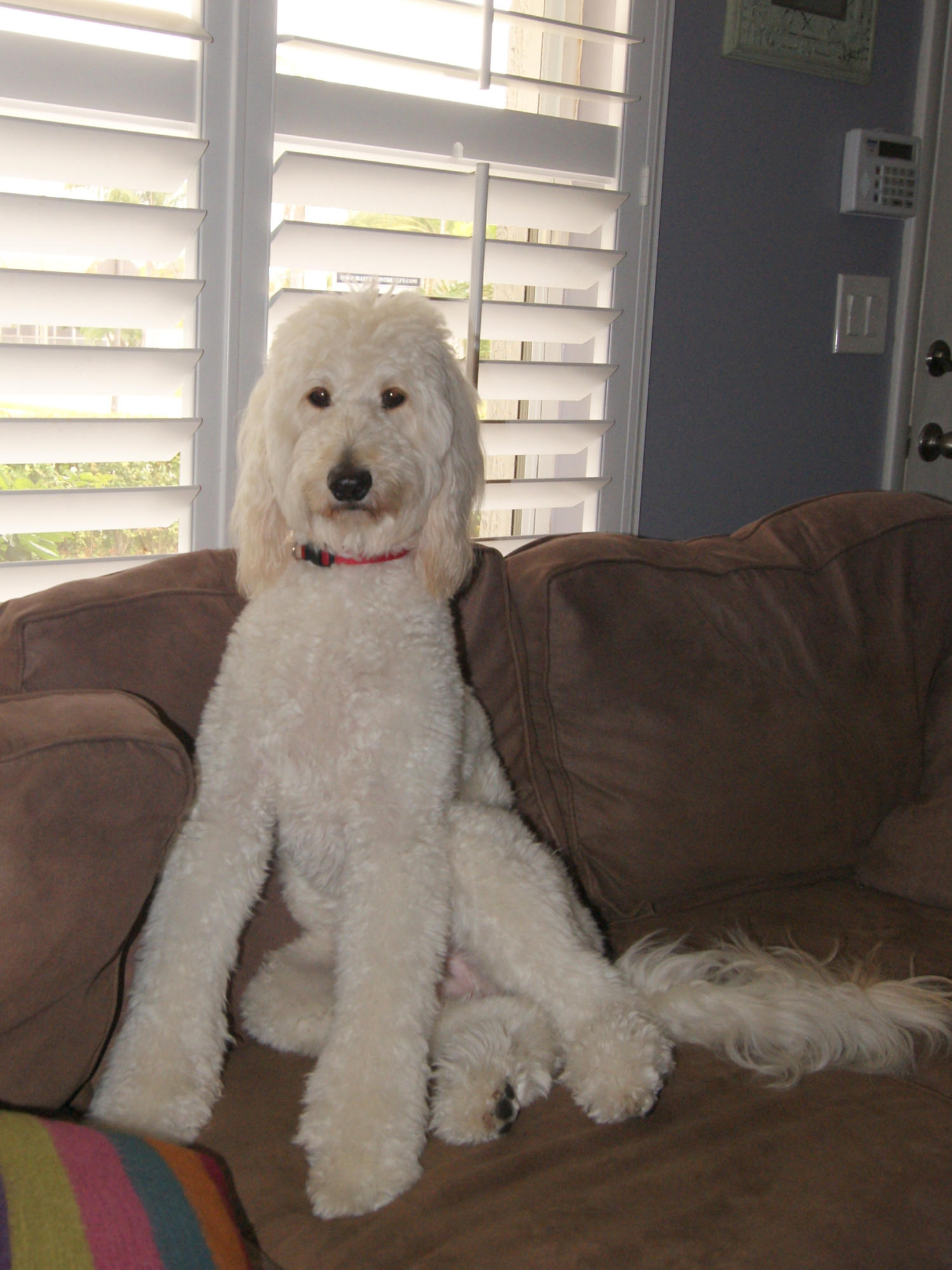 Jupiter Village Ph III - Residential