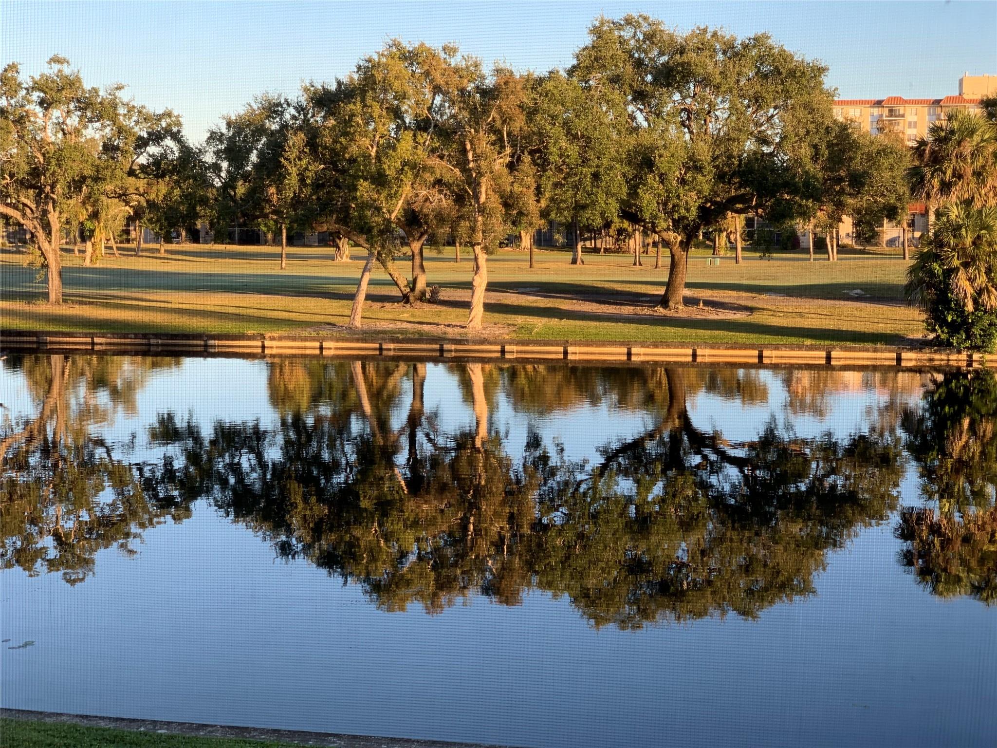 International Village At - Residential Lease