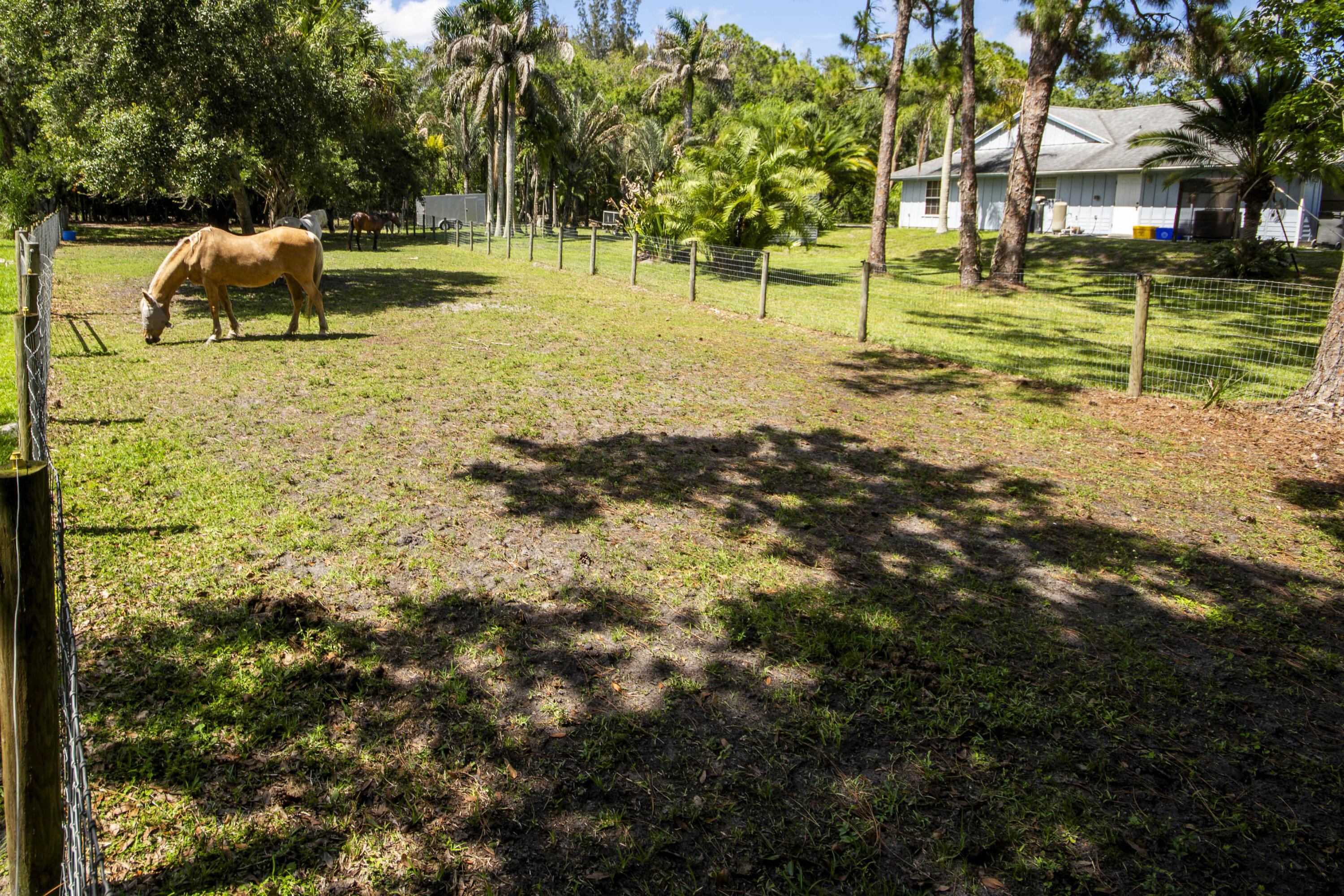 Jupiter Farms - Residential