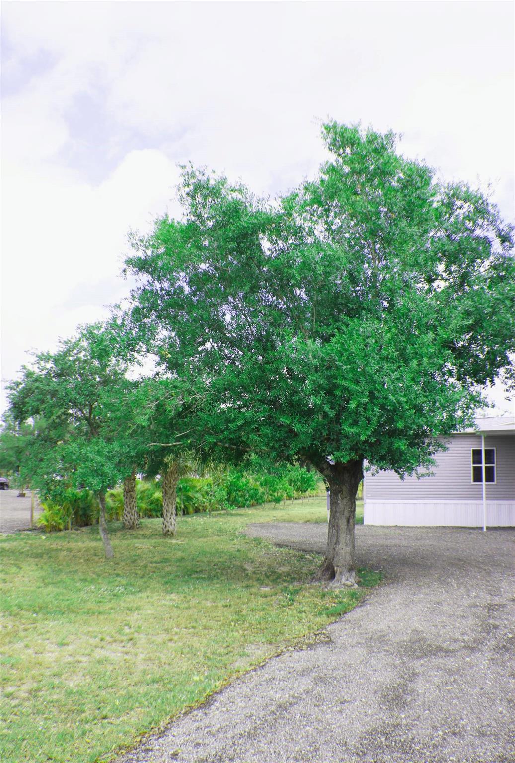 539 Montura Ave