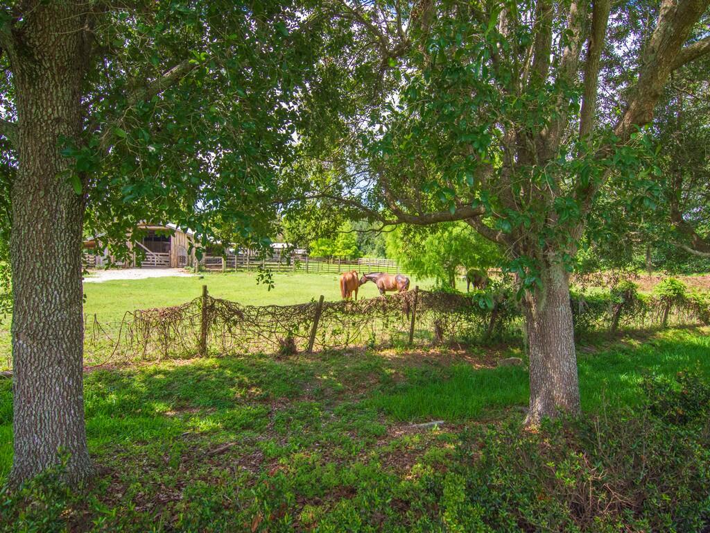 Oaks of Vero - Residential