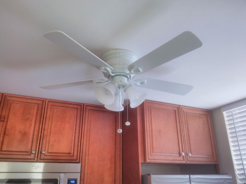 3710 Whitehall Drive 103