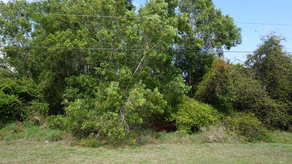 Nice Port Saint Lucie lot located short drive to local shopping and restaurants. Adjacent lot on 1043 SE Lansdowne Ave also for sale. Buy and build or hold for investment.