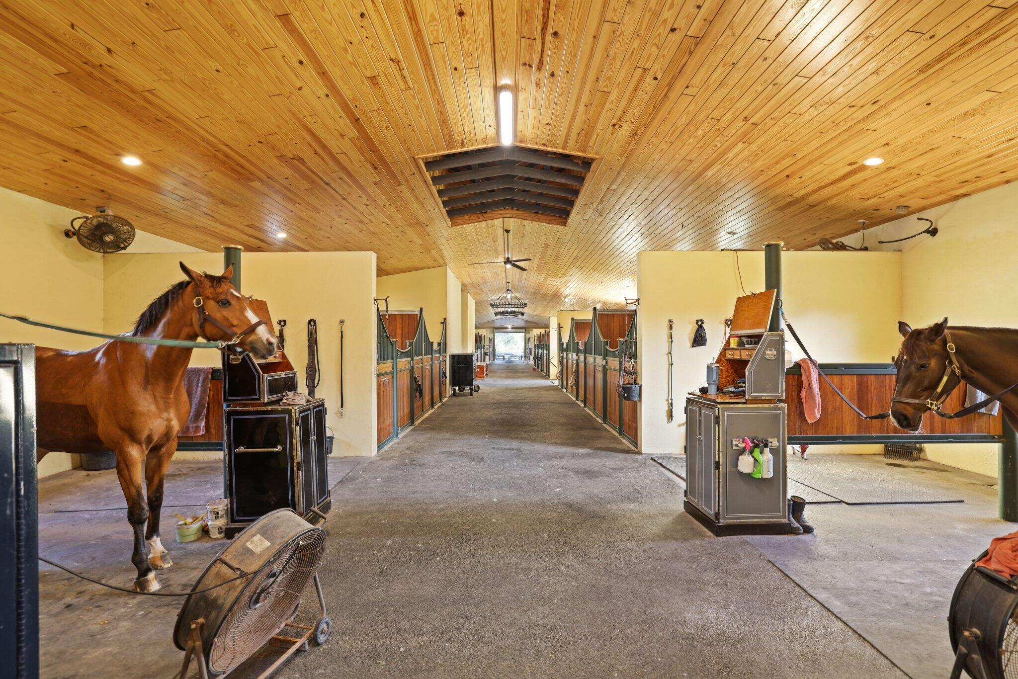 Palm Beach Point East - Residential